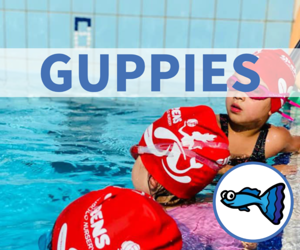 Guppies (3-5 Yrs) – Sirens Pool St. Paul’s Bay